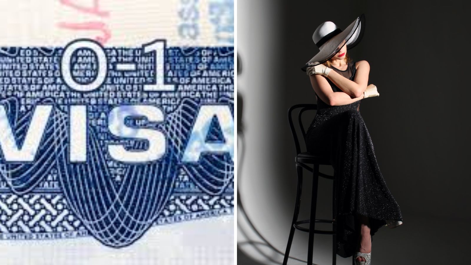 O-1B visa sees surge amid US immigration crackdown drawing Onlyfans models and influencers