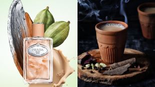 prada chai santal perfume