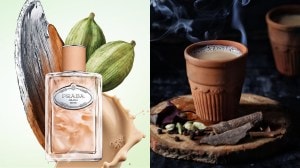 prada chai santal perfume
