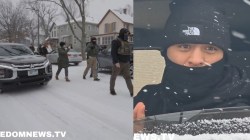 ‘Crazy’: Elon Musk reacts to viral ICE video of protesters ‘shielding’ sex offender