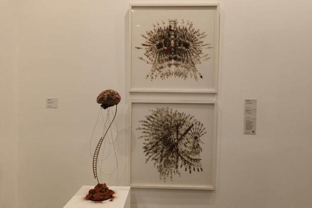 The fair runs from 5 to 8 February 2026, with VIP previews on 5 and 6 February and public access on 7 and 8 February. It takes place at the NSIC Exhibition Grounds in Okhla, New Delhi, a central hub for cultural events.(Image Source: FE File Photo)