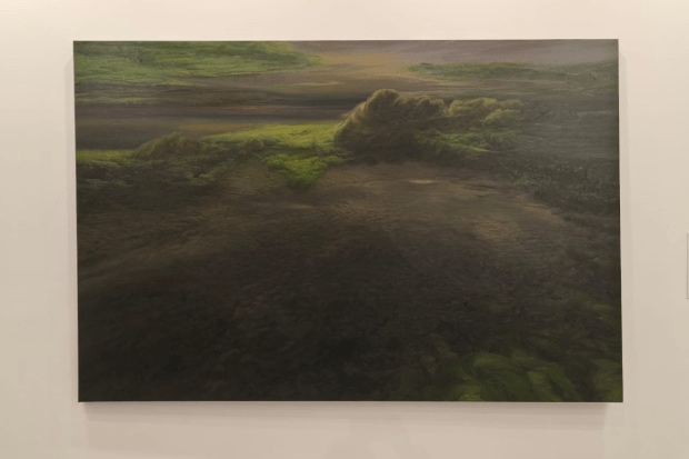 This year, the India Art Fair features a strong focus on ecology through immersive, material-driven installations, highlighting environmental anxiety, sustainability, and urban biodiversity. Key works include Raki Nikahetiya’s FOREST II. (Image Source: FE File Photo)