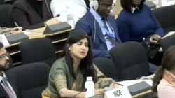 J&K budget ‘more than double’ IMF bailout package: India’s ‘la la land’ jibe at Pakistan