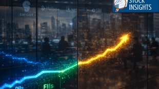 The great ownership flip: DIIs overtake FIIs in Nifty 50. (AI-generated image)