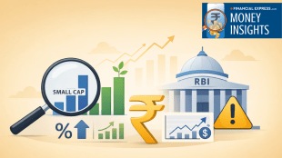 Small cap mutual funds have delivered strong past returns, but investing in them in 2026 requires careful evaluation