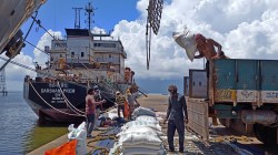 Exporters missed the bus