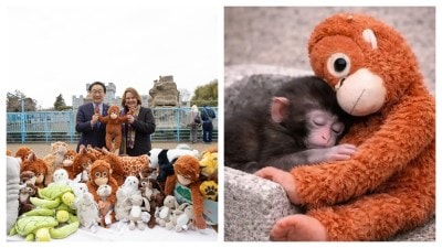 Packing an empathy Punch