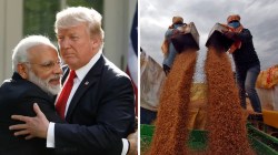 India-US trade deal LIVE Updates: US to lift 25% duty on Indian goods from Feb 7, warns of reimposing if India resumes Russian oil imports