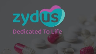 Zydus Lifesciences Q3FY26 results: Profit rises 2%, revenue jumps 30% YoY (Source: Canva)