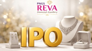 PNGS Reva Diamond Jewellery IPO: From GMP, subscription to price band, 7 ‘must know’ details (Source: AI)