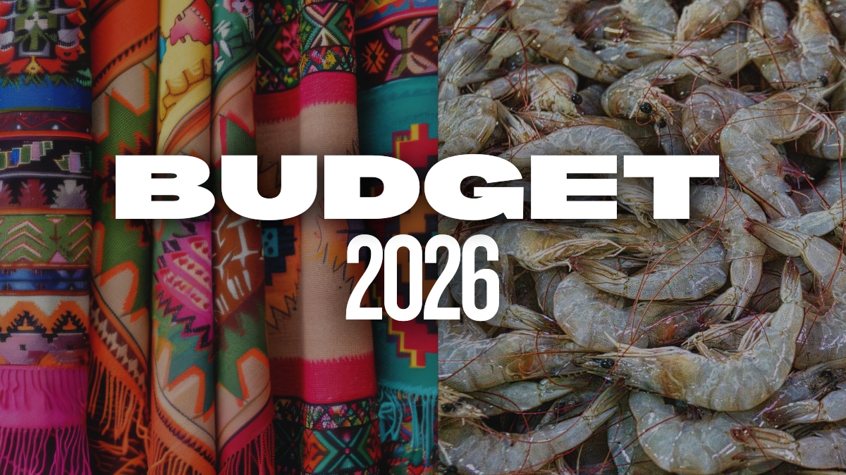 Budget 2026: Sitharaman eases export norms for seafood, leather.