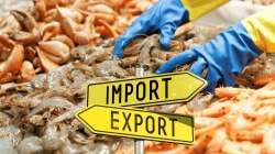 Seafood exporters expect the tide to turn after India-US trade deal announcement