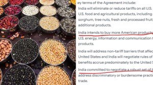 US Edits India Trade Deal Factsheet, Drops Pulses and Softens $500 Billion Claim