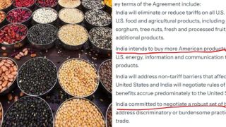 US Edits India Trade Deal Factsheet, Drops Pulses and Softens $500 Billion Claim