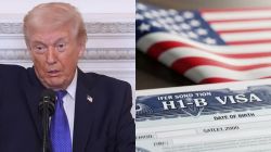 Only 70 US employer paid $100,000 H-1B fee: How a court ruling could derail Trump’s policy