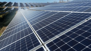 US Slaps 126% Countervailing Duty on Indian Solar Imports