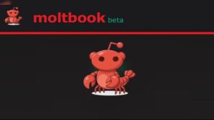 Moltbook faces security concerns as experts flag serious risks