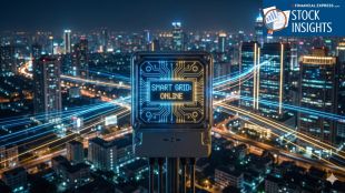 How India’s smart meter giants are diversifying for a 2030 payoff. (AI generated image from Gemini)