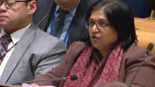 India slams 'third category’ UNSC proposal, calls it a ploy to stall reforms