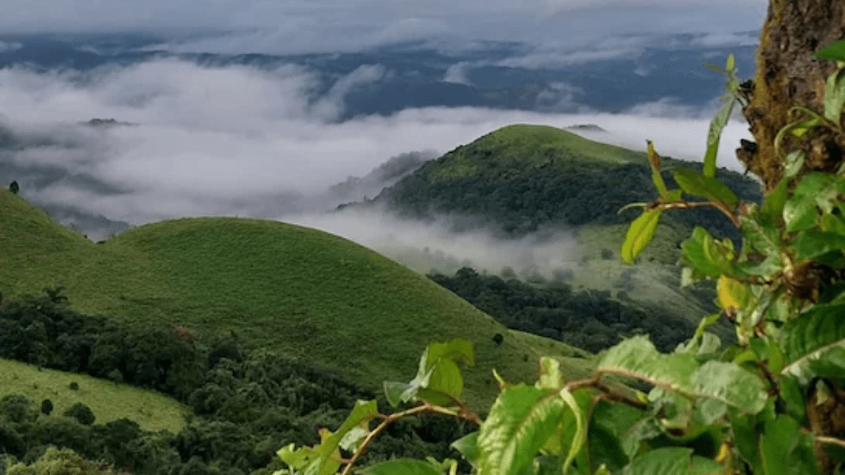 Exploring the scenic route: A winding road through the lush coffee plantations of Coorg, just 5 hours from Bengaluru.