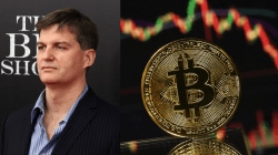 The man who predicted 2008 market crash issues ‘sickening’ warning: ‘Bitcoin’s death spiral has begun’