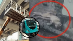 Kochi Metro grinds to a halt for ‘Subash’: Massive rescue operation underway to save cat stranded on pillar for 6 days
