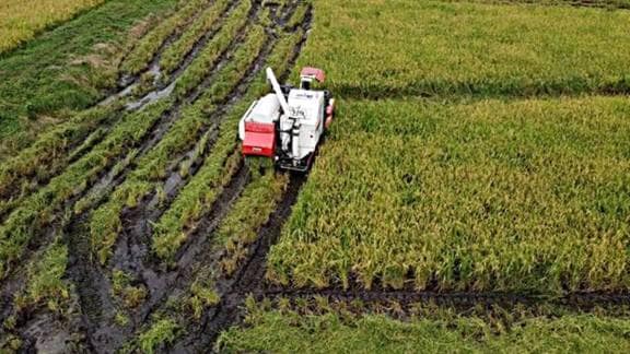 India’s Agri GVA Growth Slows to 2.4% in FY26 as New GDP Series Highlights Sectoral Headwinds