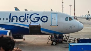 Indigo share price plummets