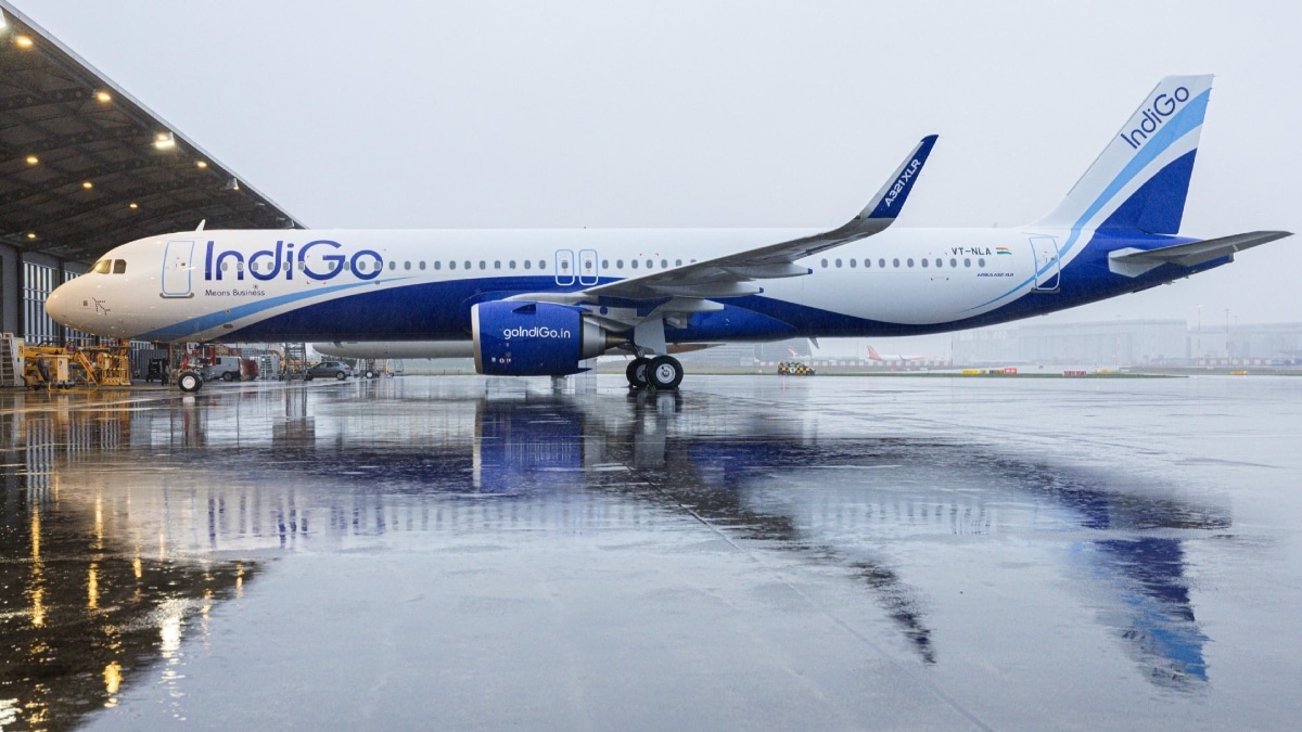 IndiGo's market share fell nearly 4% in December, 16.21 lakh passengers faced delays or cancellations after flight disruption