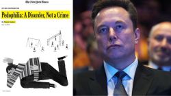 NY Times says ‘paedophilia isn’t a crime,’ Elon Musk calls it ‘utterly disgusting’
