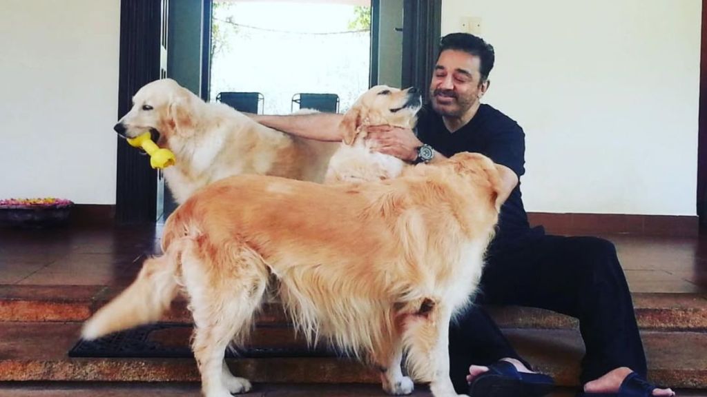 Kamal Hasaan's Rs 19 cr home in Boat Club Road, Chennai is the actor's safe space. (Image source: Instagram)