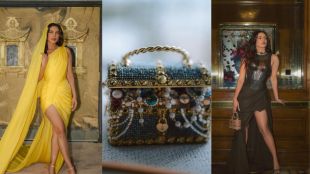 priyanka chopra bag collection