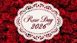 Rose Day 2026: What different rose colours mean and what they say about your feelings
