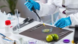 ‘US exposed to something biology never meant to handle’ – America’s big battle against ultra-processed food