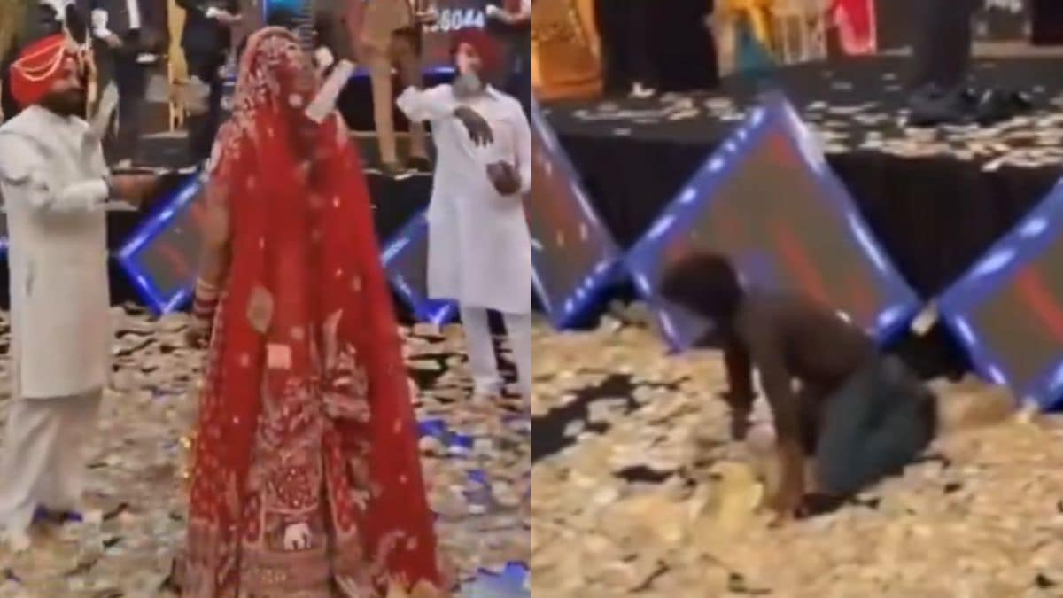 viral punjabi wedding viral punjabi wedding