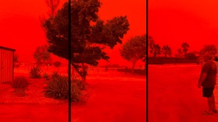 Visuals shared online showed bright red skies as the storm stirred up massive dust clouds in Shark Bay (Photo: X video screengrab)