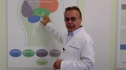 AI not going to make you dumb, says neurologist: Here’s how to keep your brain sharp