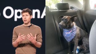 Sam Altman meets man behind ChatGPT-built dog cancer vaccine
