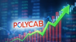 Polycab India: Why JM Financial sees 23% upside despite near-term headwinds
