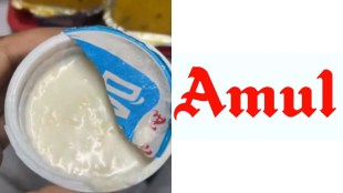 Amul denies weevil contamination in dahi on Vande Bharat, blames onboard handling