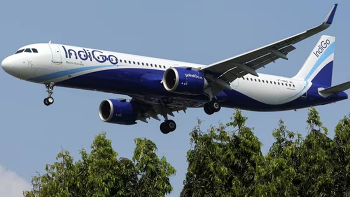 IndiGo stock rally Jefferies target aviation sector India IndiGo stock rally Jefferies target aviation sector India