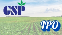 GSP Crop Science IPO Day 2 update: 81% subscribed, GMP at Rs 0; apply or avoid?