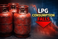 March LPG consumption falls 17.7% in first 15 days amid Iran war and gas supply curb