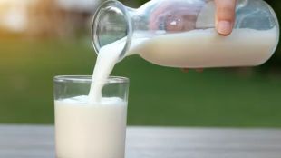 Fuel and Packaging Shortages Threaten Mumbai’s Milk Supply as Costs Surge 40%