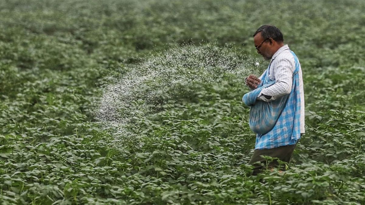 Despite the slowdown in urea production to 1.8 million tonnes (MT) in March against the monthly average output of 2.4 MT, the official said that stock levels are comfortable. Despite the slowdown in urea production to 1.8 million tonnes (MT) in March against the monthly average output of 2.4 MT, the official said that stock levels are comfortable.