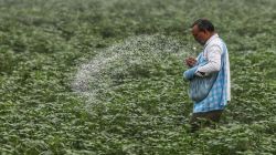 West Asia crisis hits urea output, raises fertiliser & freight costs: Govt