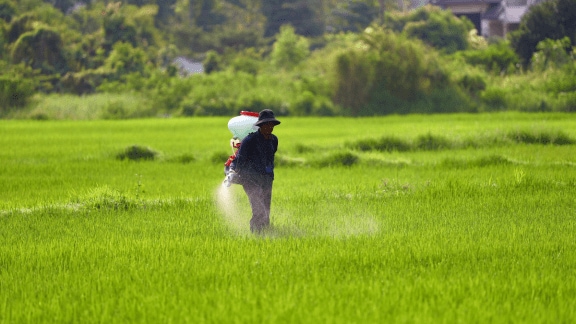 End Underestimation of Fertiliser Subsidies: Parliamentary Panel Slams Recurring Budgetary Gaps