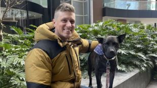 ChatGPT and AlphaFold help techie develop DIY mRNA cancer vaccine, saving his dog