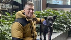 ChatGPT and AlphaFold help techie develop DIY mRNA cancer vaccine, saving his dog