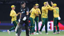 NZ vs SA 2nd T20I Live Streaming: When and where to watch match today